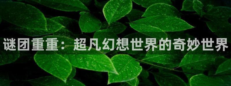 新闻图片